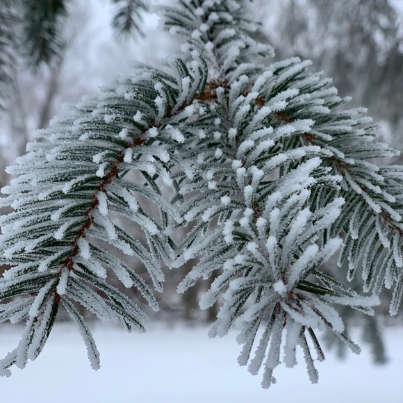 Meet your Posher, Casey - Picture 1 of 1